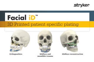 Facial iD - 3D flyer