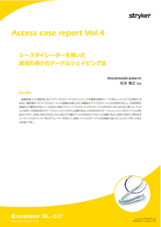 Access_V4-2b.pdf