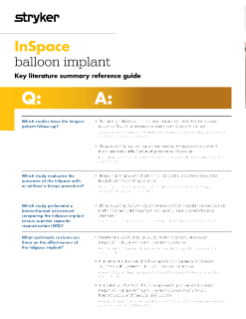 IS Key Literature Summary reference guide.pdf